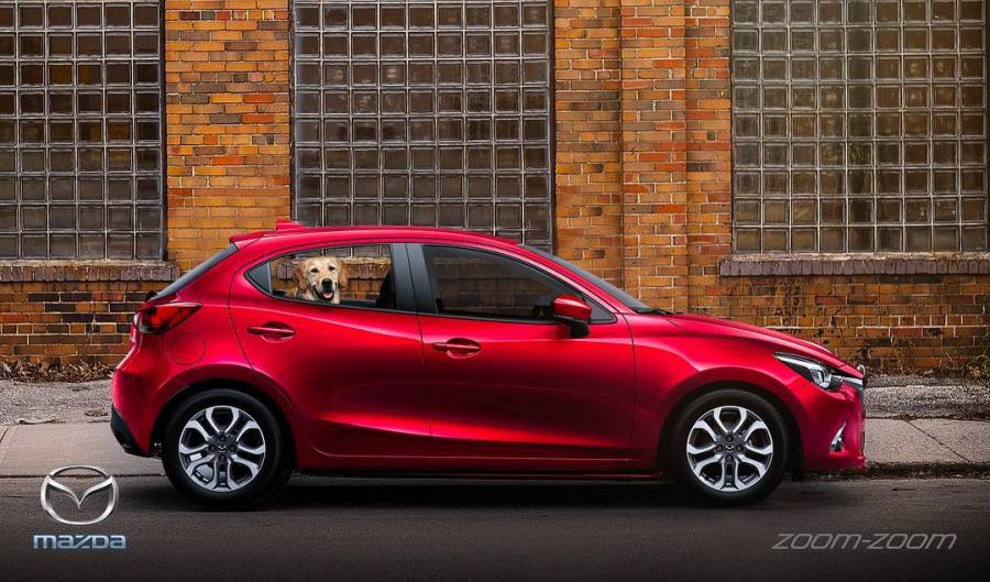 Mr.Cường - Mazda Đồng Nai Mr.Cường - Mazda Đồng Nai