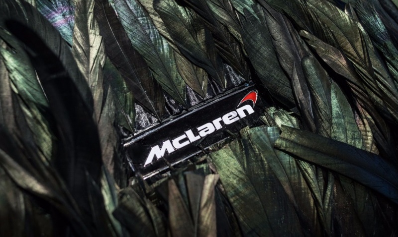 “Chết mê” với siêu xe McLaren 570GT phủ lông chim