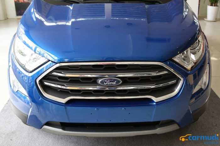 Lưới tản nhiệt đóng mở trên xe ô tô Ford EcoSport giá rẻ carmudi vietnam