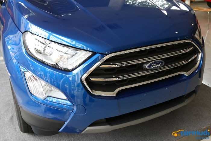 Lưới tản nhiệt xe ô tô Ford EcoSport giá rẻ carmudi vietnam