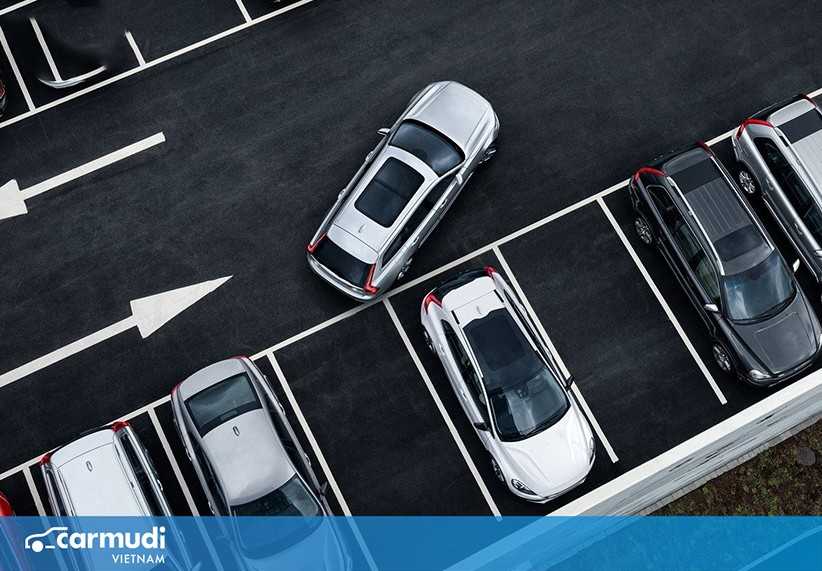 Kinh nghiệm đánh lái khi lùi xe mà bất kì tài xế nào cũng cần biết