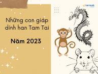 Năm Tam Tai có nên mua xe không-Những con giáp lưu ý năm 2023