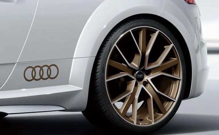 Audi TTS Memorial - Phiên bản kỷ niệm chỉ bán được 100 chiếc